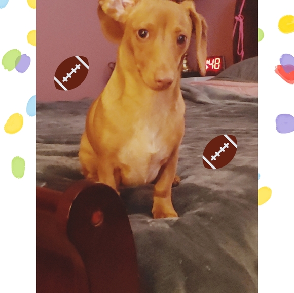 Meet your Posher, Tabatha - Picture 8 of 10